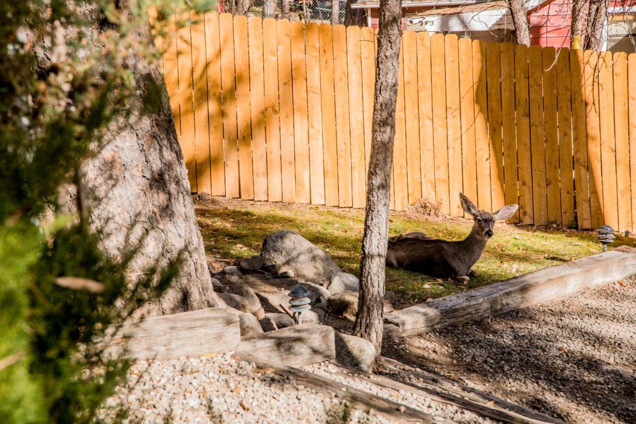 Ruidoso Lodge Cabins # 8 Eksteriør billede